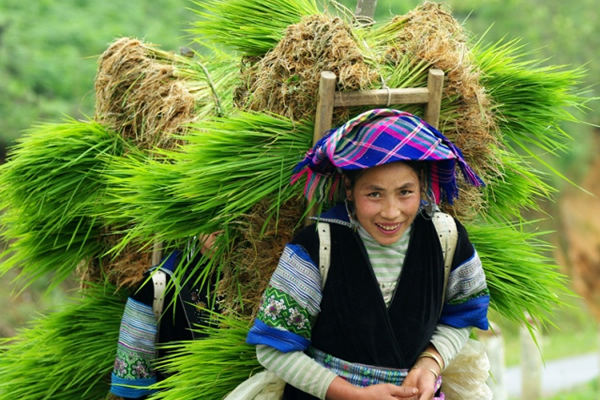 2112021164311172016111321sapa-backpackers-hostel-026