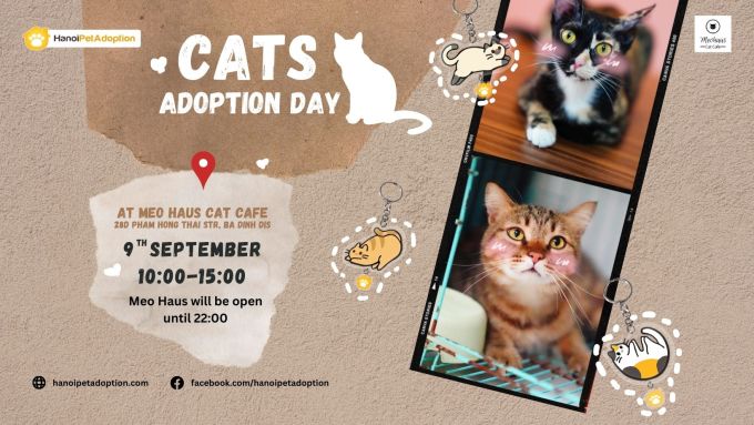 A poster for "Cats Adoption Day." Photo courtesy of Hanoi Pet Adoption