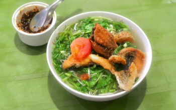 IMG-2210-5385-1695546243-5684-1695955834