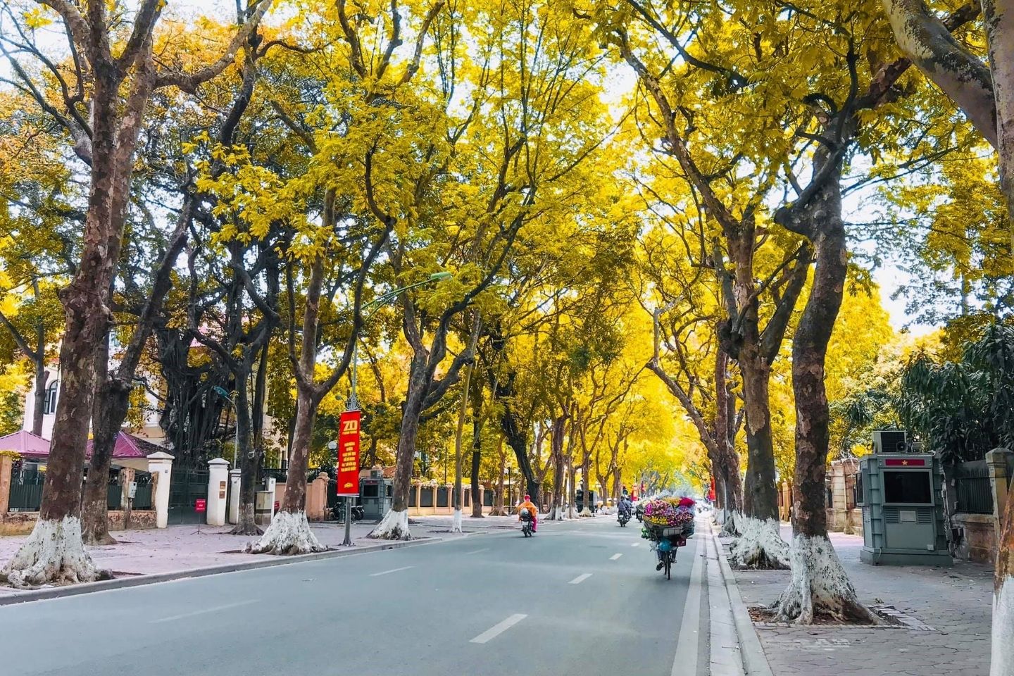 autumn in Hanoi