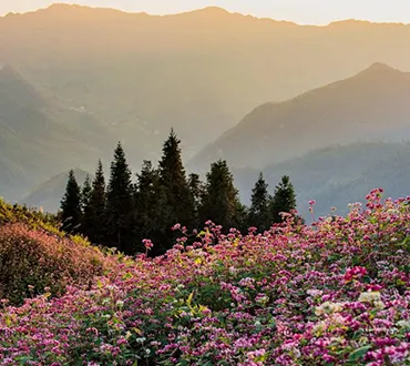 Ha Giang Loop 3 Day 2 Night Tour