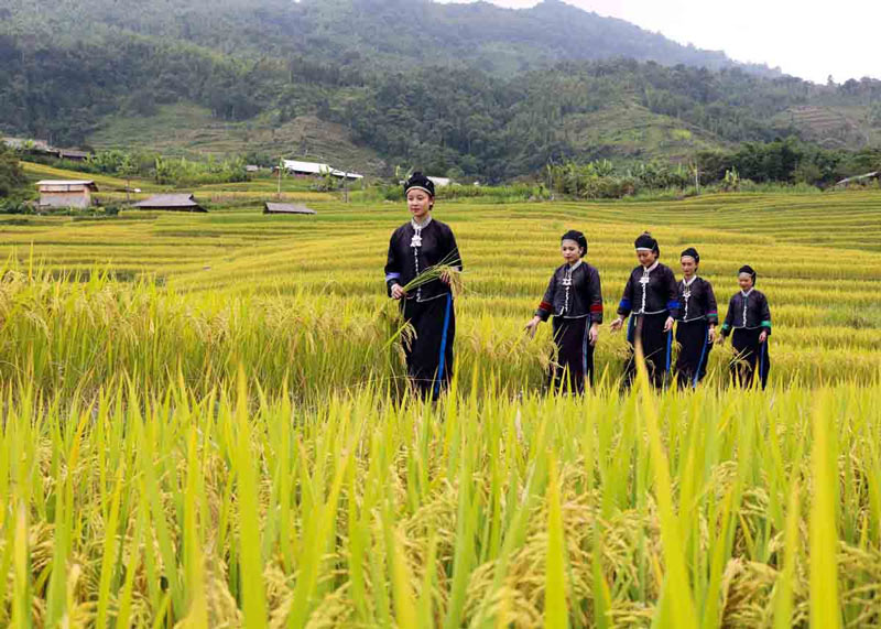 Phuc Sen Forging Village