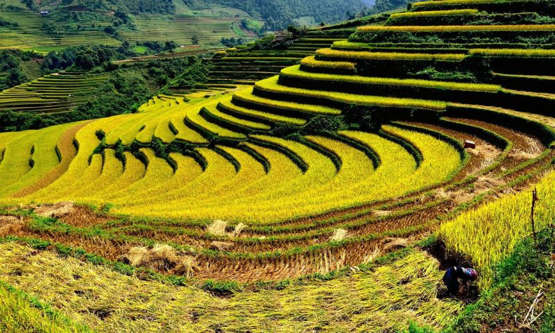 is-vietnam-expensive-to-visit