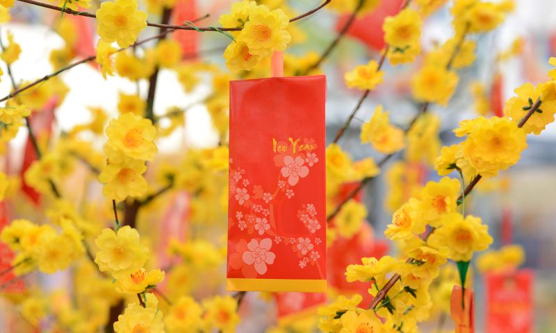 Tet Vietnam new year