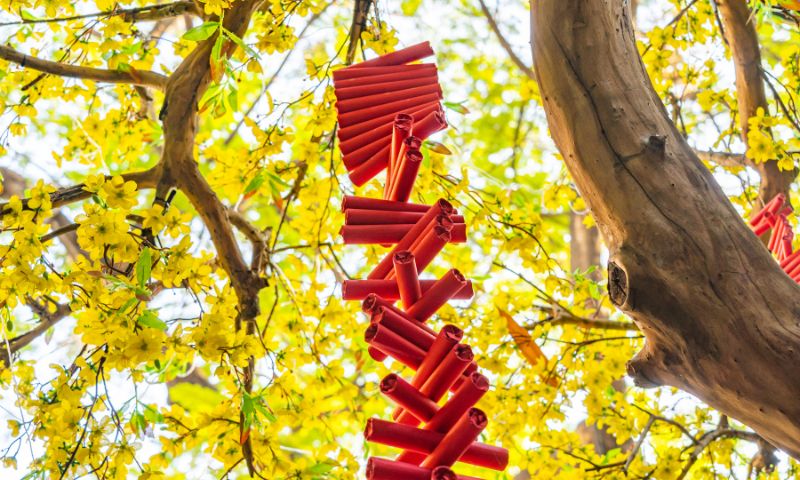 Tet Vietnam new year