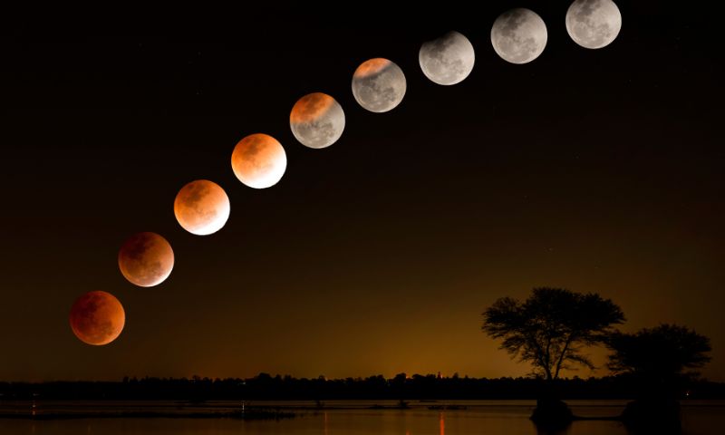 Tet Vietnam new year