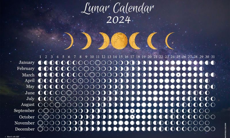 Lunar New Year in Vietnam