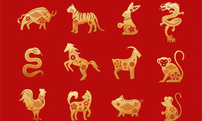 Lunar New Year in Vietnam