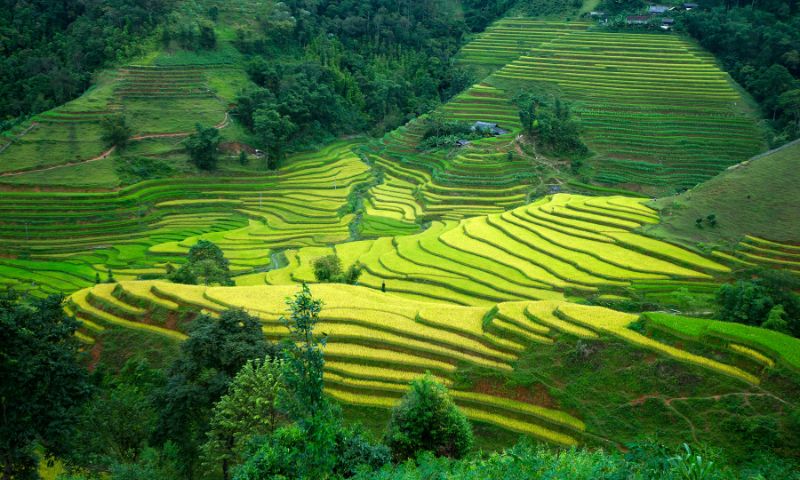 Trekking in Vietnam
