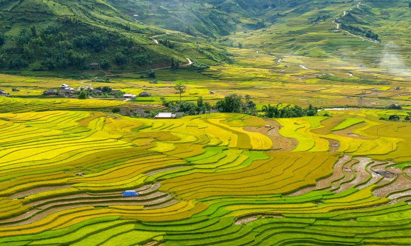 vietnam heritage